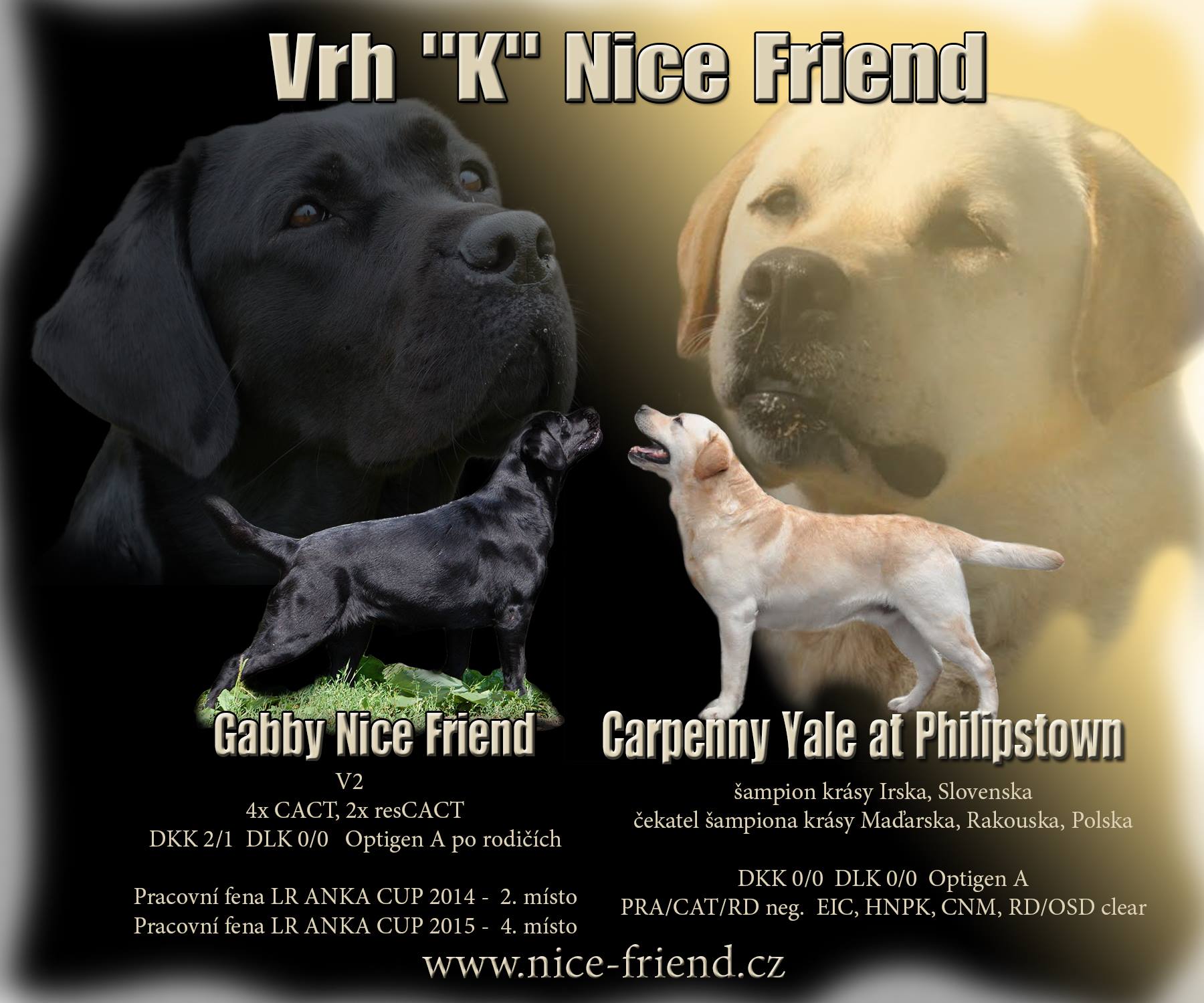 Vrh K Nice Friend